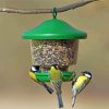 Birds Feeder And Cage Paint By Numbers