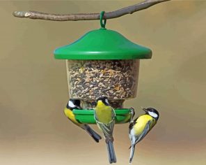 Birds Feeder And Cage Paint By Numbers
