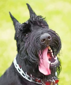 Giant Schnauzer Puppy Paint by Numbers