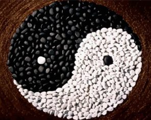 Artistic Yin Yang Paint By Numbers