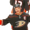 Anaheim Ducks paint by numbers