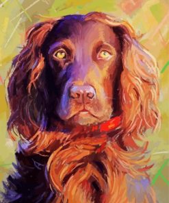 Boykin Spaniel Puppy Paint By Numbers