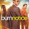 Burn Notice Serie paint by numbers