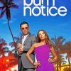 Burn Notice Poster Paint By Paintings