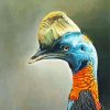 Artistic Cassowary Paint By Numbers