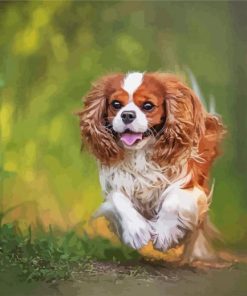 Cavalier king Dog Paint By Numbers