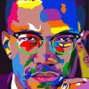 Colorful Malcom X paint by numbers