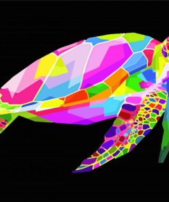 Colorful Turtle Paint By Numbers