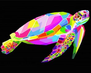 Colorful Turtle Paint By Numbers