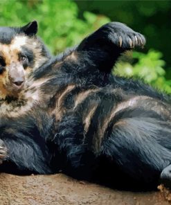 Cute Sloth Bear paint by numbers