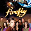Firefly Poster Paint By Numbers