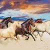 Galloping Horses Art Paint By Numbers