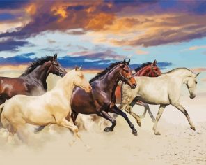 Galloping Horses Art Paint By Numbers