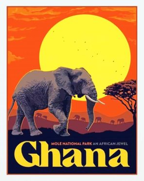 Ghana Mole National Park paint by numbers