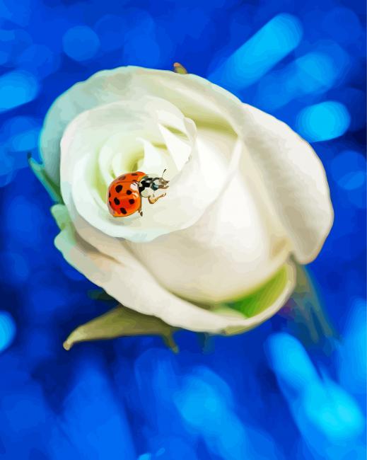 Ladybug With Rose Paint By Numbers