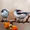 Long Tailed Tits Birds paint by numbers