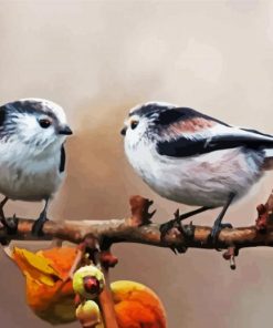 Long Tailed Tits Birds paint by numbers
