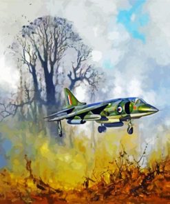 Military Harrier Plane Paint By Numbers
