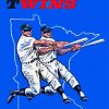 Minnesota Twins Paint By Numbers