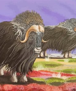 Muskox Animals Art paint by numbers