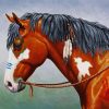 Native American Horse Paint By Paintings