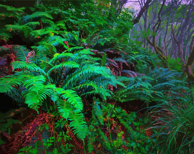 Nature Ferns Paint By Numbers