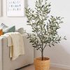 Olive Tree In Pot paint by numbers