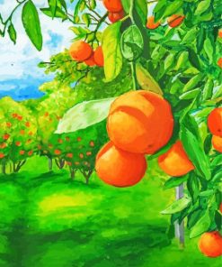 Orange Grove Art Paint By Numbers