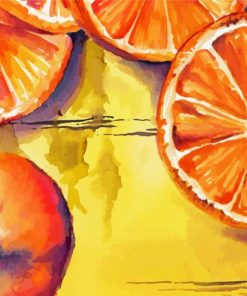 Orange Slice Art paint by numbers