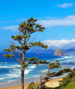 Oregon Coast Panoramic View paint by numbers
