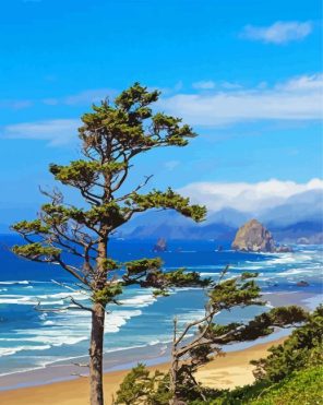 Oregon Coast Panoramic View paint by numbers