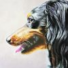 Pastel Dog Paint By Numbers