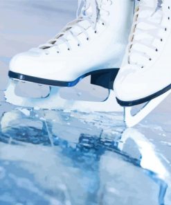 Skates On Ice paint by numbers