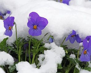 Purple Flowers In Snow Paint by Numbers