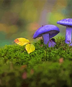 Purple Mushroom Paint By Numbers