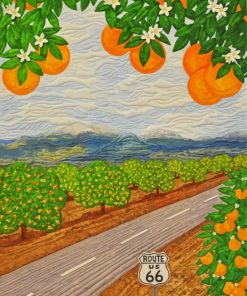 Route 66 Orange Groves paint by numbers