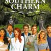 Southern Charm Paint By Numbers