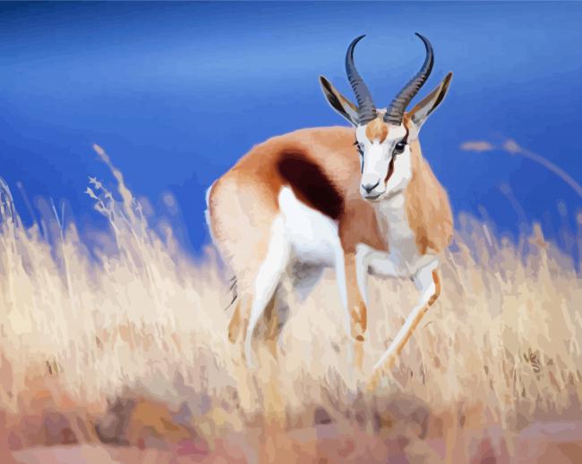 Springbok Animal Paint By Paintings