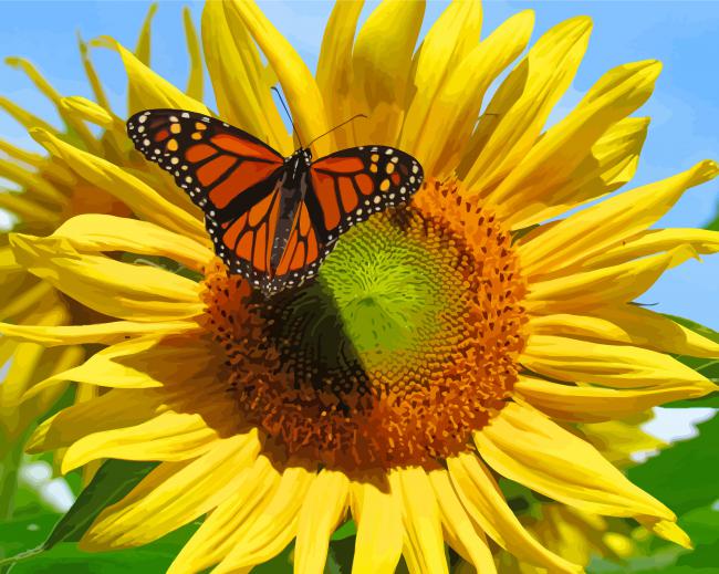 Sunflower With Butterfly Paint By Numbers