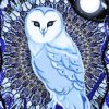Mystic Blue Owl Paint By Numbers