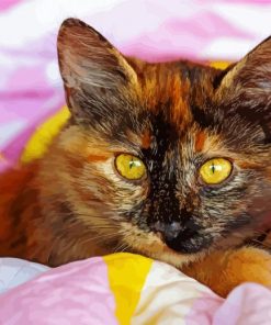 The Tortoiseshell Cat Paint by Numbers
