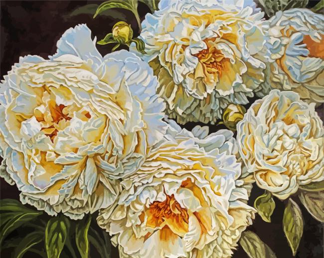 White Peonies paint by numbers