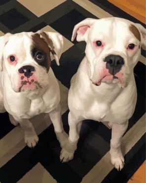 White Boxer Puppies paint by numbers