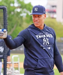 Aaron Judge paint by numbers
