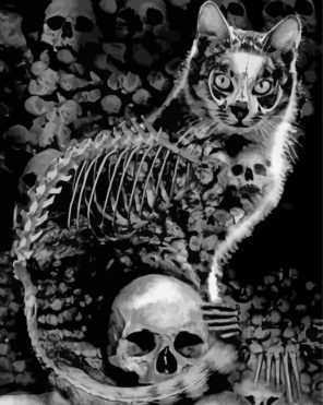 Skull And Cat paint by numbers