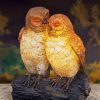 Owl Couple Paint By Numbers