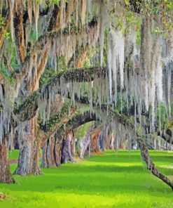 Spanish Moss Paint By Numbers
