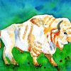Aesthetic White Bison paint by numbers