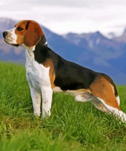 Aesthetic Beagle Puppy Paint By Numbers
