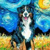 Bernese Starry Night paint by numbers